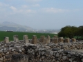 golan-heights-in-the-background-and-the-remains-of-hazors-graineries