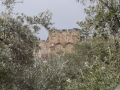 golden-eastern-gate-to-the-temple-mount-through-the-olive-trees-of-the-garden-of-gethsemane