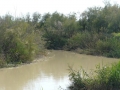 jordan-river-down-stream-from-the-baptismal-site