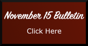 November 15