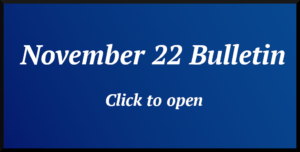 November 22