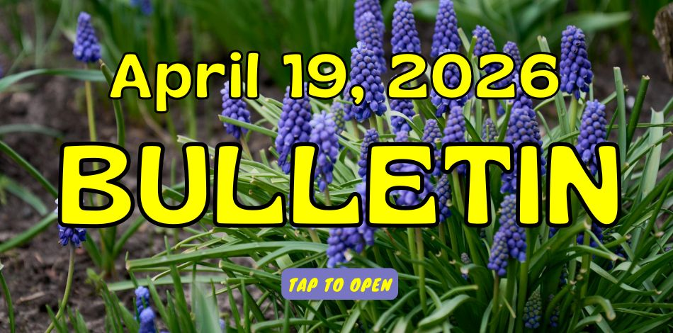 April 19 Bulletin